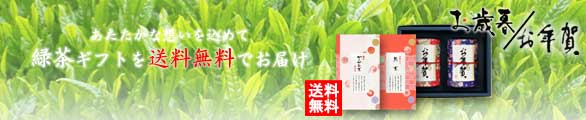 お歳暮 お年賀 ギフト 送料無料
