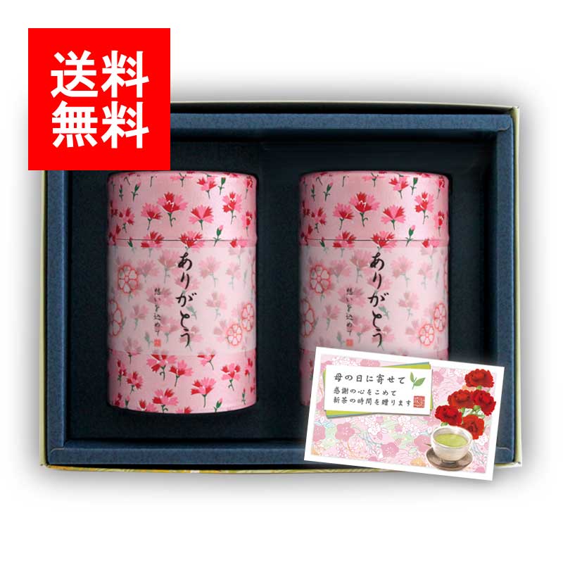 新茶ギフト#246 カーネーション缶 セット(特上知覧茶×2)｜福岡いりえ茶舗