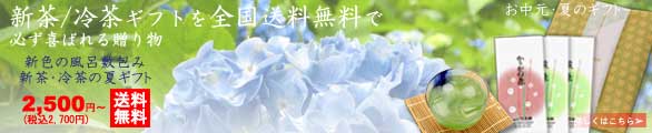 中元ギフト送料無料