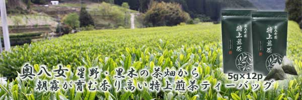 奥八女 特上煎茶ティーバッグ