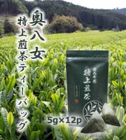 奥八女 特上煎茶ティーバッグ