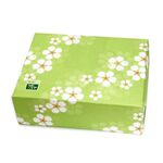 100g茶缶2缶入ギフト箱