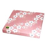 平袋2本入ギフト箱