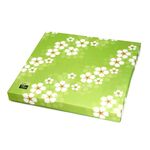 平袋2本入ギフト箱